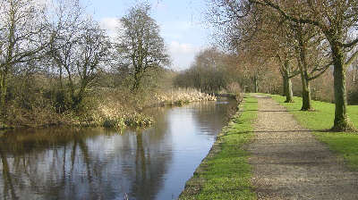 the Fairbottom Branch, Daisy Nook