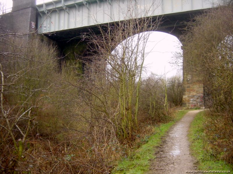 Barnsley Canal below Oakenshaw Viaduct