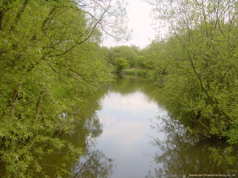Barnsley Canal between Oakenshaw and Walton