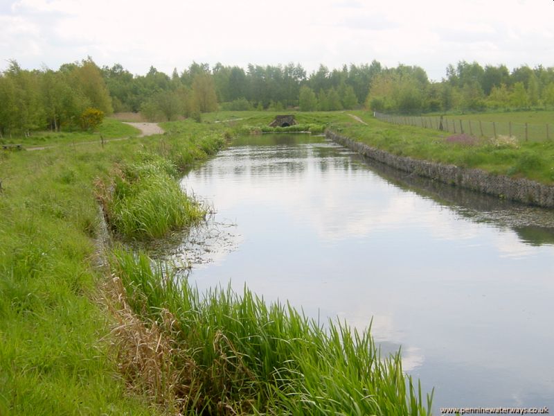 Barnsley Canal between Oakenshaw and Walton
