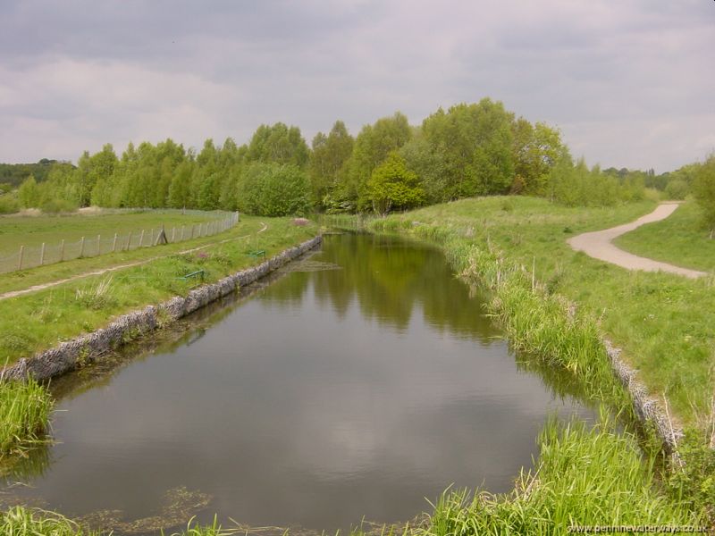 Barnsley Canal between Oakenshaw and Walton