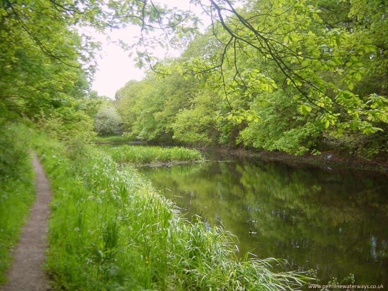 railway embankment across canal, Barnsley Canal