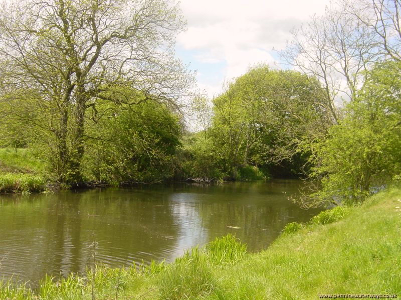 near Royston, Barnsley Canal