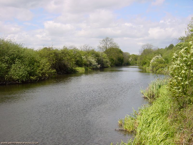 Barnsley Canal