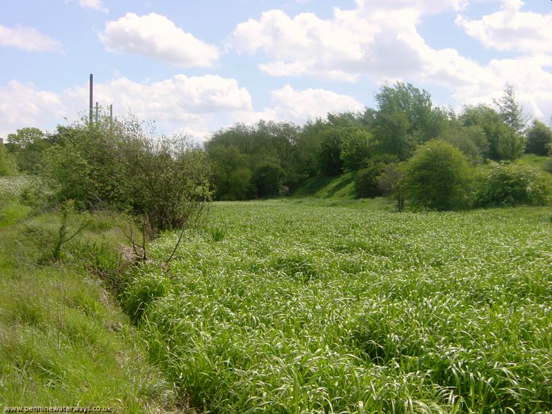 Barnsley Canal