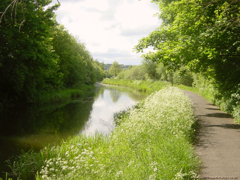 Barnsley Canal