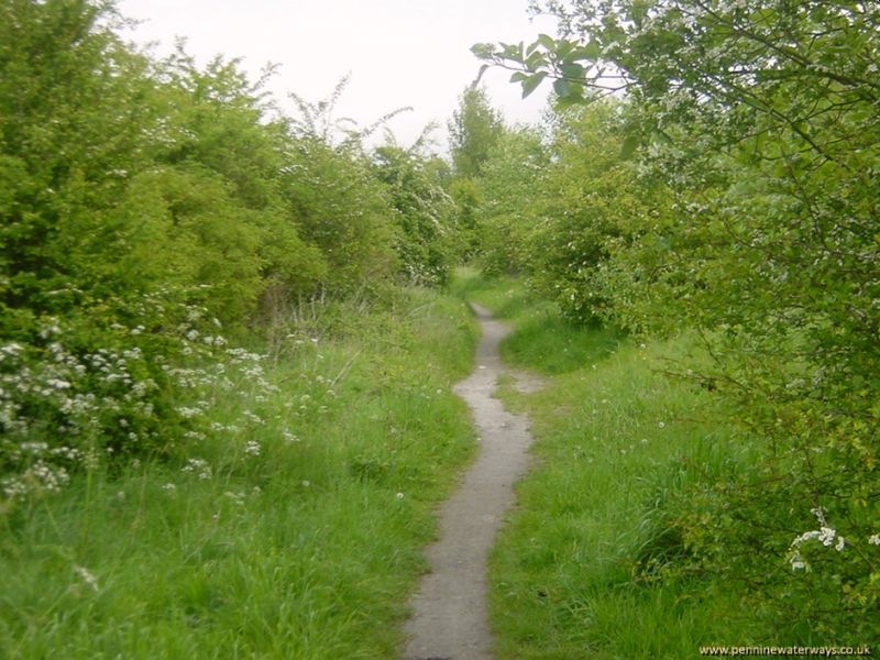 Wet Moor, Dearne and Dove Canal