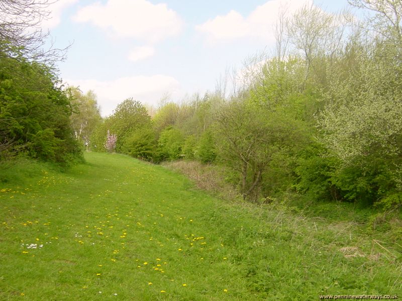 Wombwell Junction, Dearne and Dove Canal