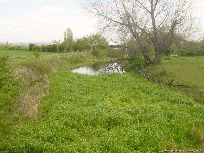 Wombwell, Dearne and Dove Canal