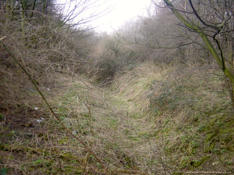 Worsborough Branch, Dearne and Dove Canal