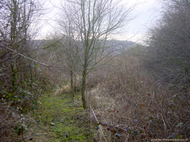 Worsborough Branch, Dearne and Dove Canal