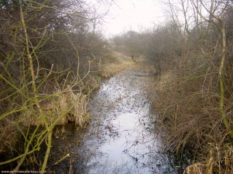 Worsborough Branch, Dearne and Dove Canal