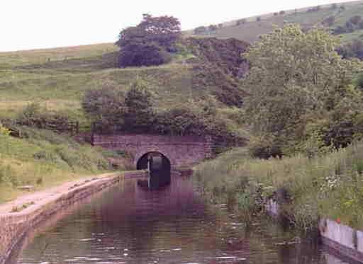 Scout Tunnel