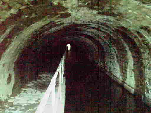Scout Tunnel