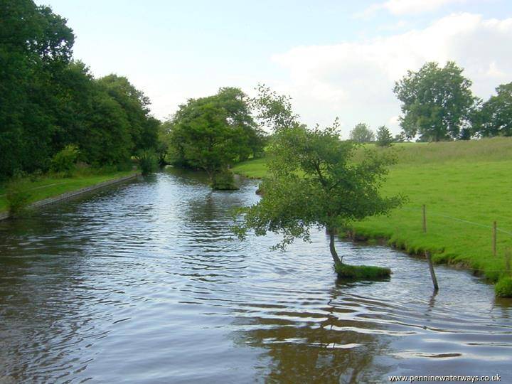 Sugar Lane Bridge