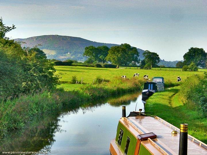 Bosley Cloud from Macclesfield Canal