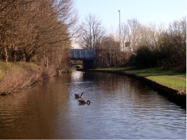 Dog Lane Bridge at Globe Square, Dukinfield