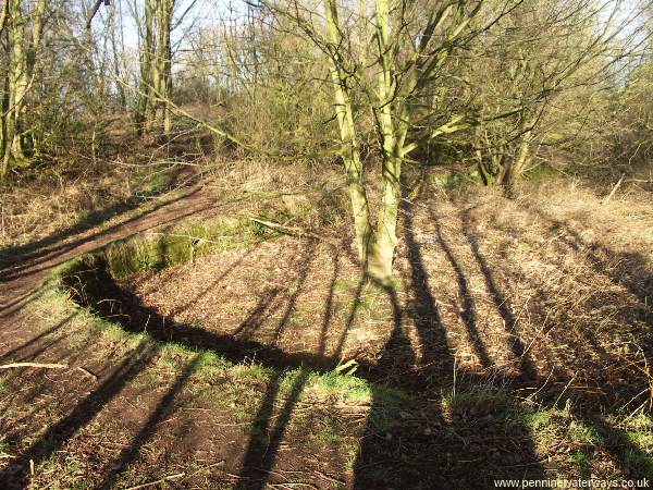 Broad Oak Basin, Sankey Canal