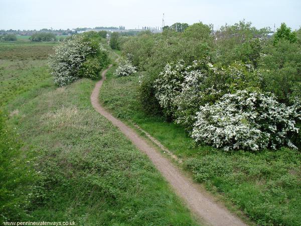 Alder Lane, Sankey Canal