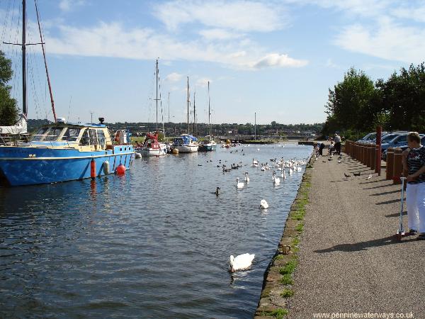 Spike Island, Sankey Canal