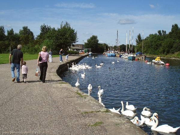 Spike Island, Sankey Canal